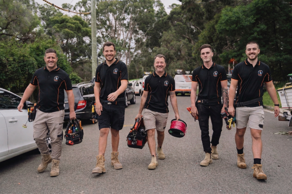 Professional electrical services in Botany